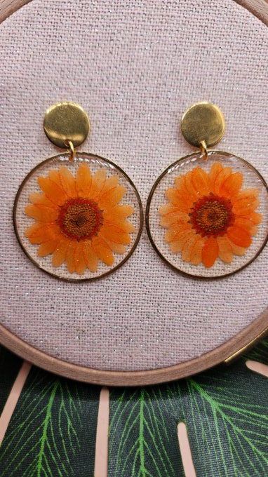 Boucles d'oreilles en résine et fleurs séchées 